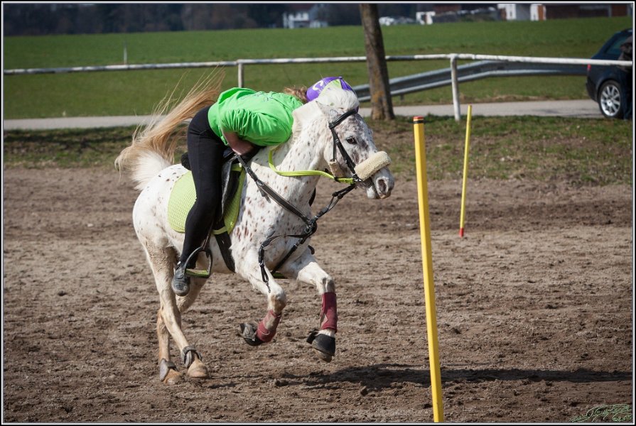MountedGamesBayrischeMeisterschaft2015 248