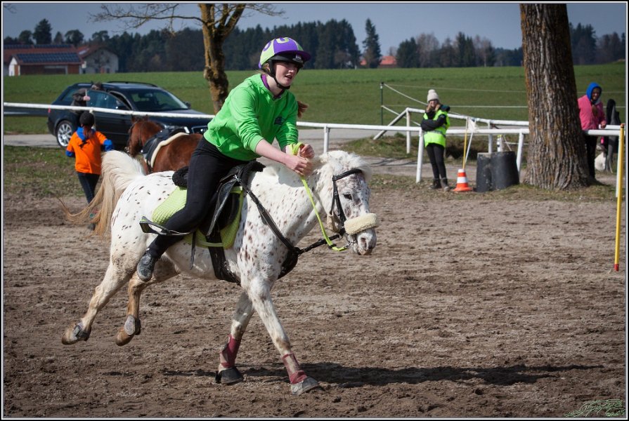 MountedGamesBayrischeMeisterschaft2015 249