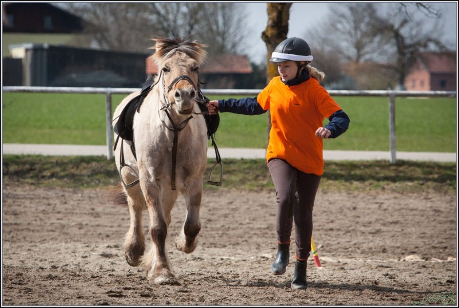 MountedGamesBayrischeMeisterschaft2015 257