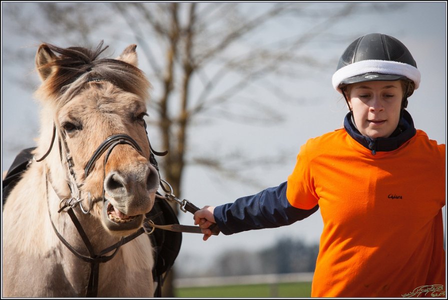 MountedGamesBayrischeMeisterschaft2015 258