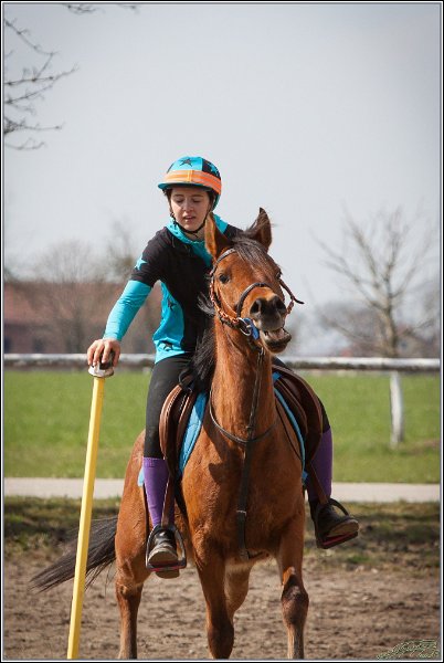 MountedGamesBayrischeMeisterschaft2015 259