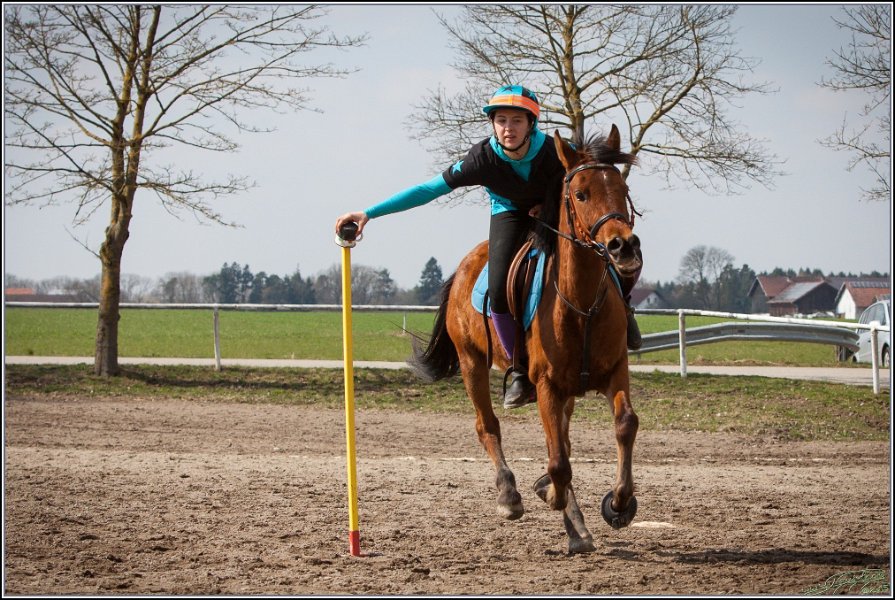 MountedGamesBayrischeMeisterschaft2015 260