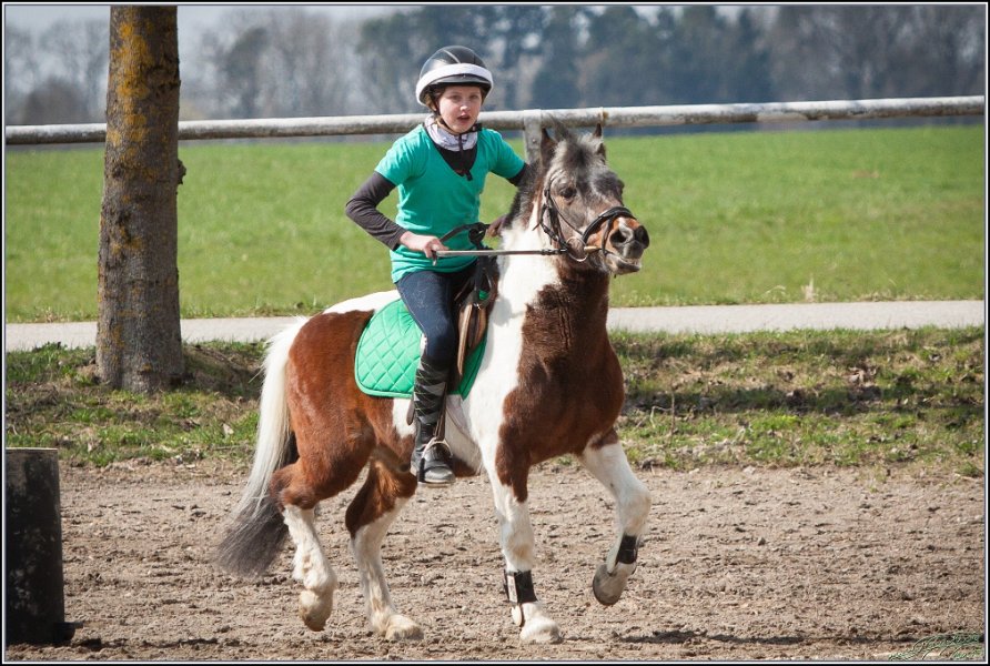 MountedGamesBayrischeMeisterschaft2015 262