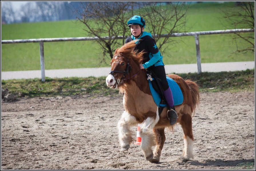 MountedGamesBayrischeMeisterschaft2015 264