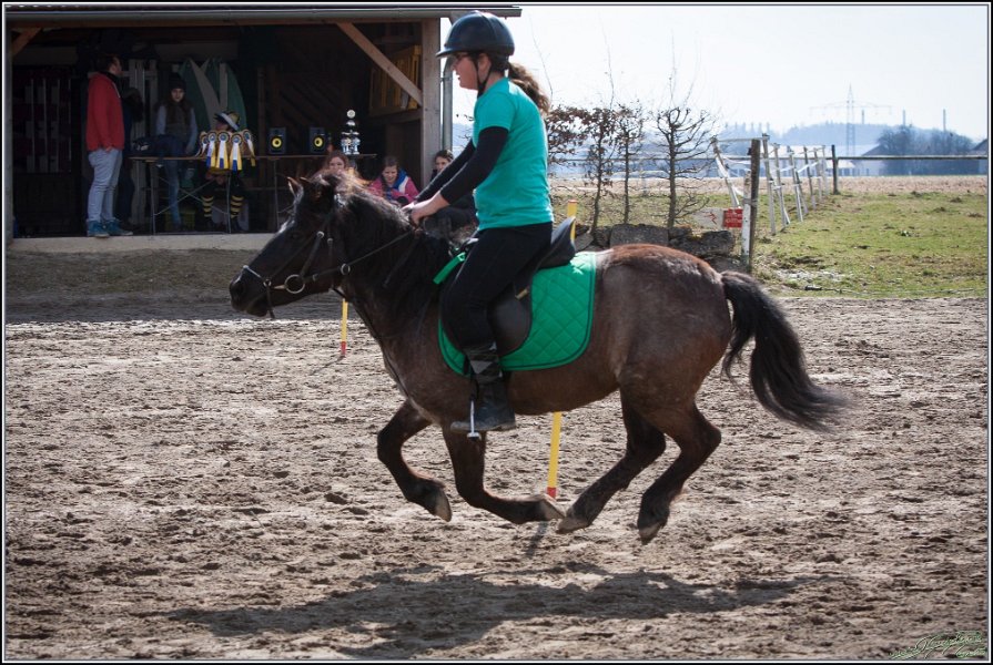 MountedGamesBayrischeMeisterschaft2015 268