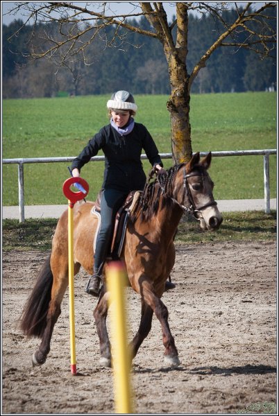MountedGamesBayrischeMeisterschaft2015 270