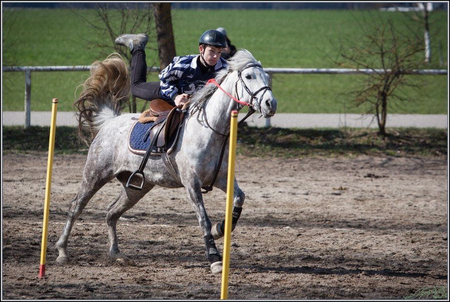 MountedGamesBayrischeMeisterschaft2015 275