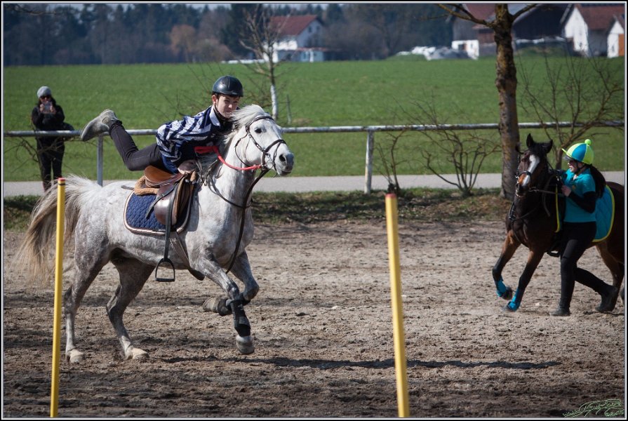 MountedGamesBayrischeMeisterschaft2015 276
