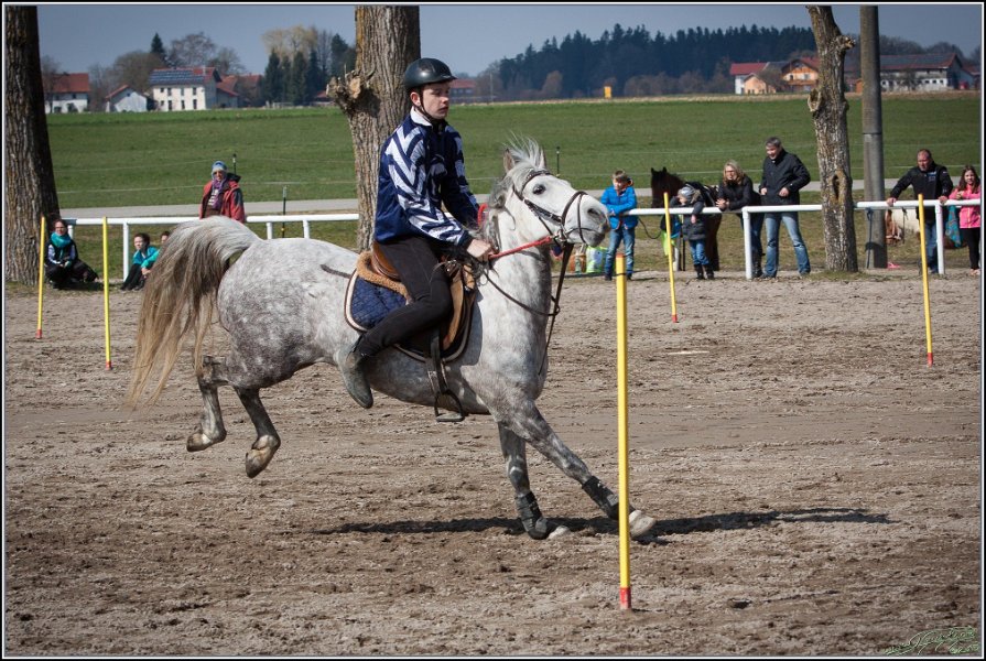 MountedGamesBayrischeMeisterschaft2015 277