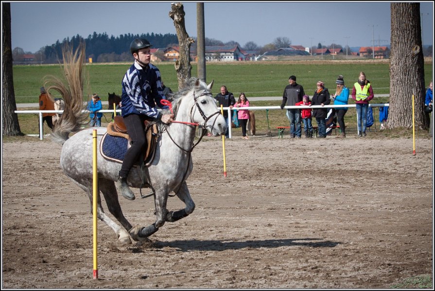MountedGamesBayrischeMeisterschaft2015 278