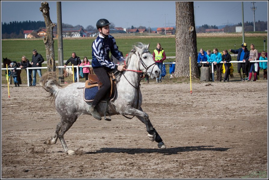 MountedGamesBayrischeMeisterschaft2015 279