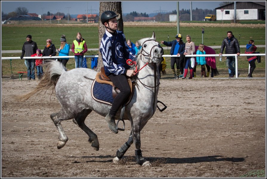 MountedGamesBayrischeMeisterschaft2015 280