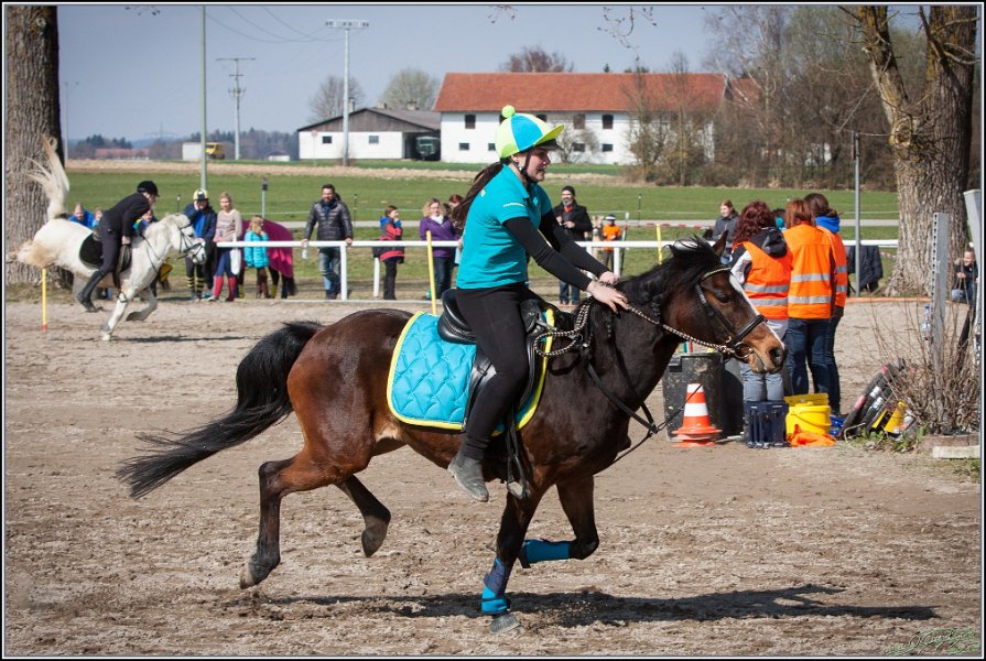 MountedGamesBayrischeMeisterschaft2015 281