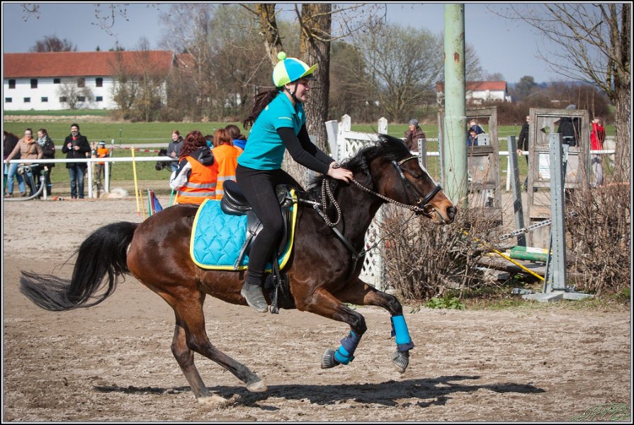 MountedGamesBayrischeMeisterschaft2015 282