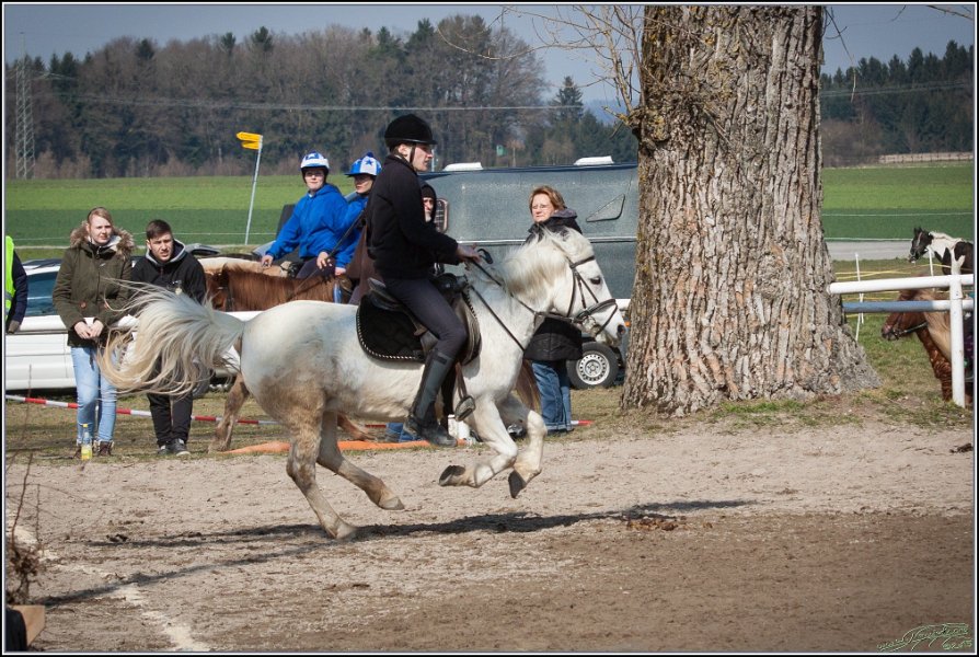 MountedGamesBayrischeMeisterschaft2015 283