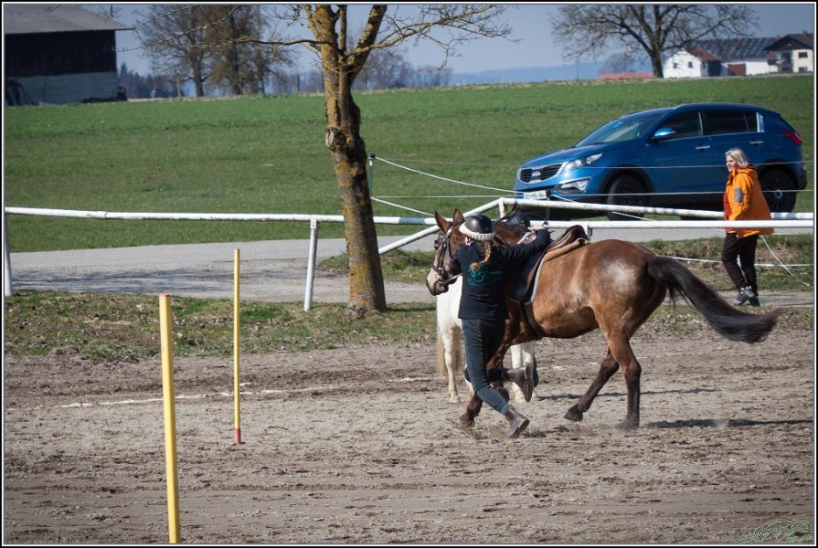 MountedGamesBayrischeMeisterschaft2015 284