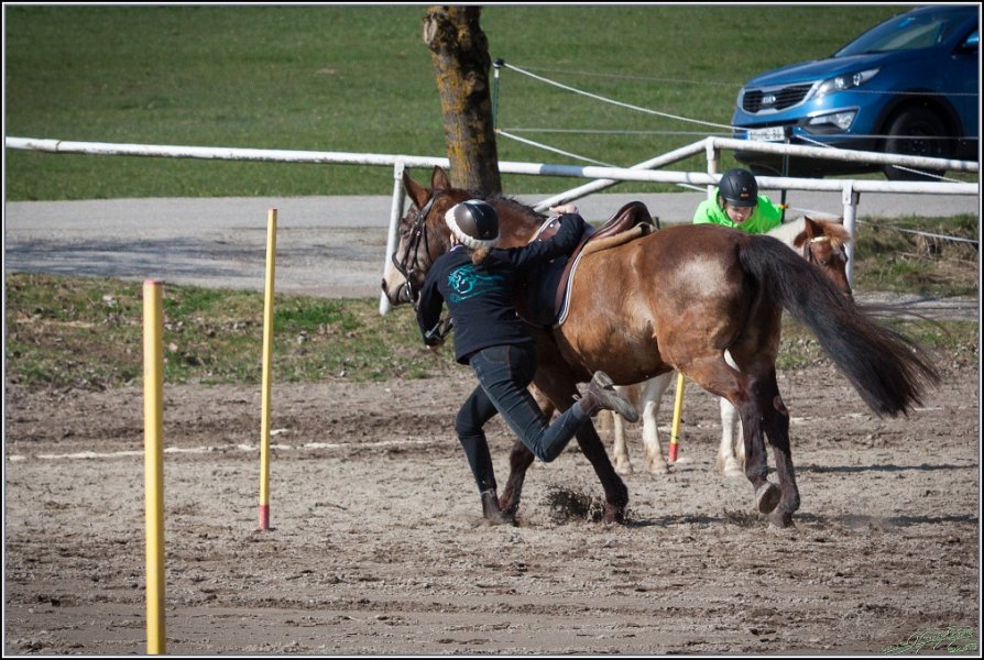 MountedGamesBayrischeMeisterschaft2015 285