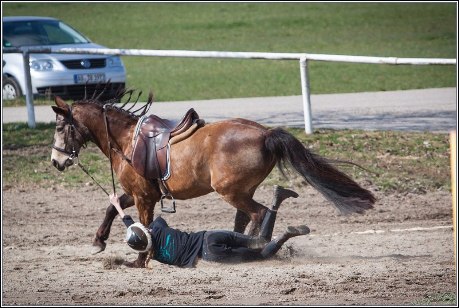 MountedGamesBayrischeMeisterschaft2015 287
