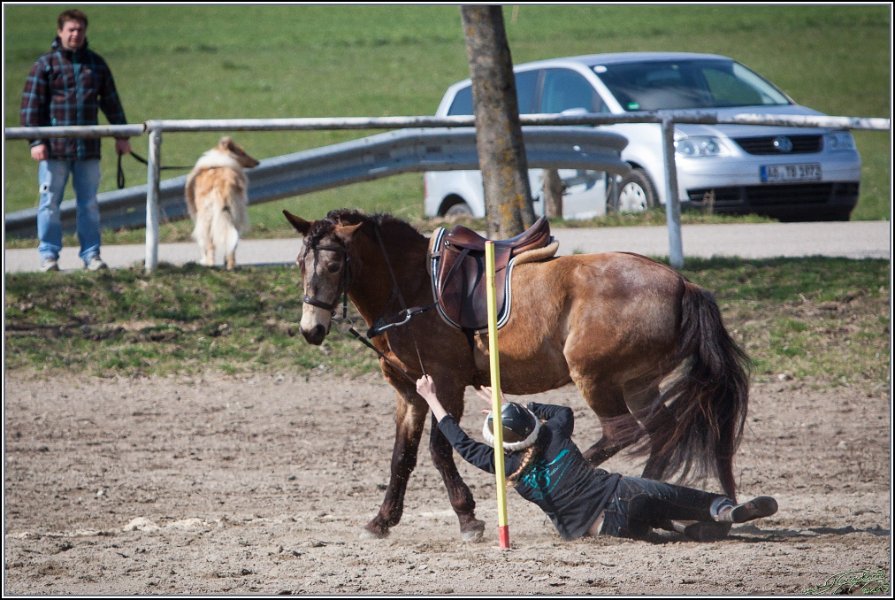 MountedGamesBayrischeMeisterschaft2015 291