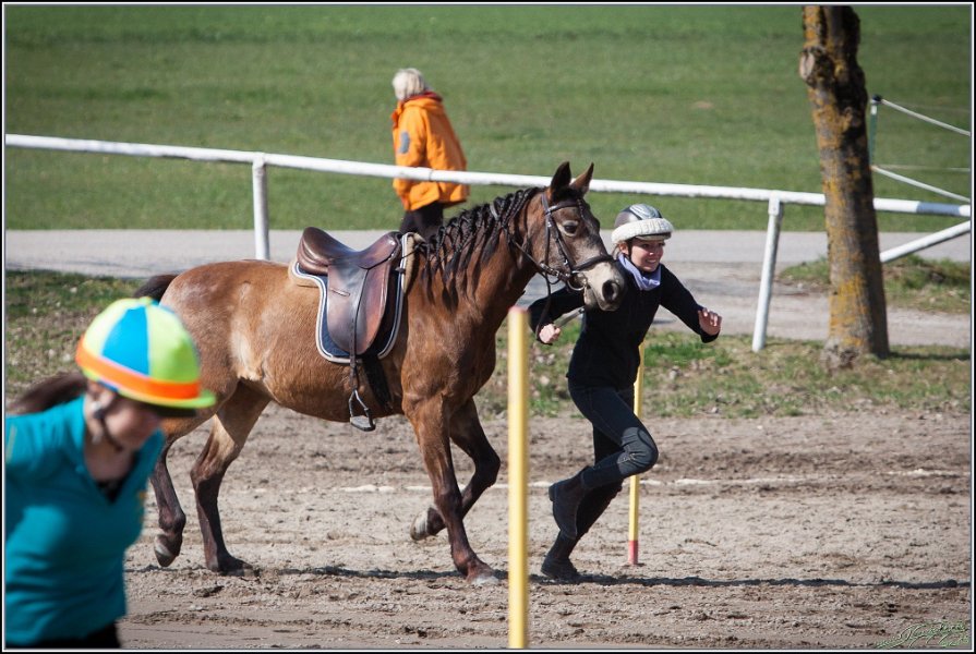 MountedGamesBayrischeMeisterschaft2015 292