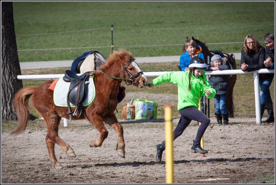 MountedGamesBayrischeMeisterschaft2015 293
