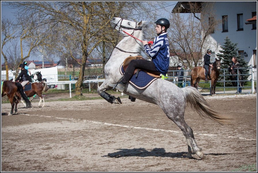 MountedGamesBayrischeMeisterschaft2015 295