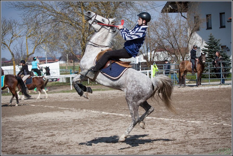 MountedGamesBayrischeMeisterschaft2015 296