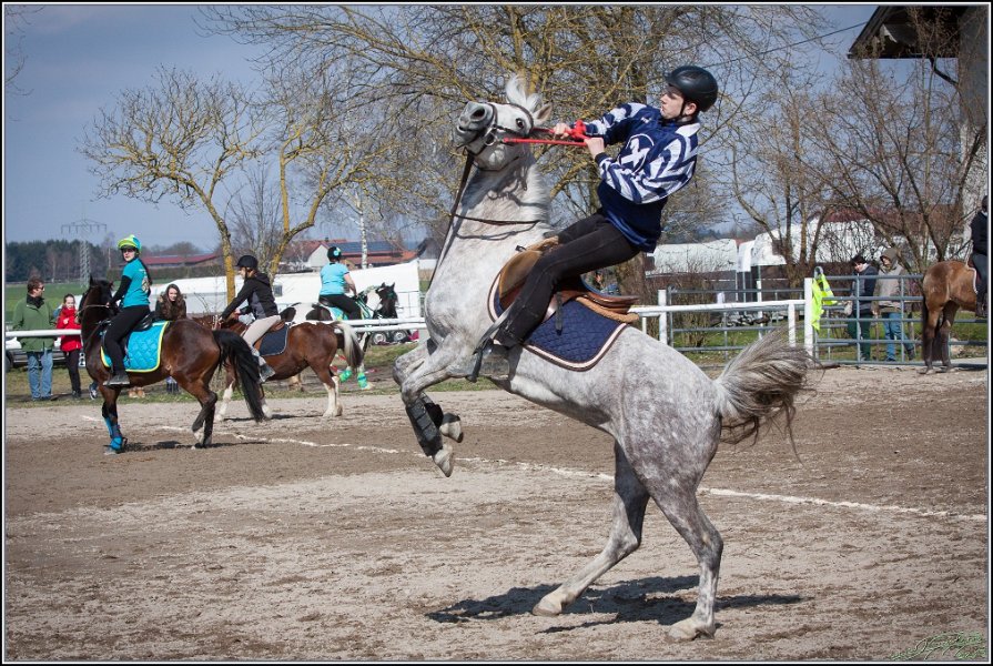 MountedGamesBayrischeMeisterschaft2015 297