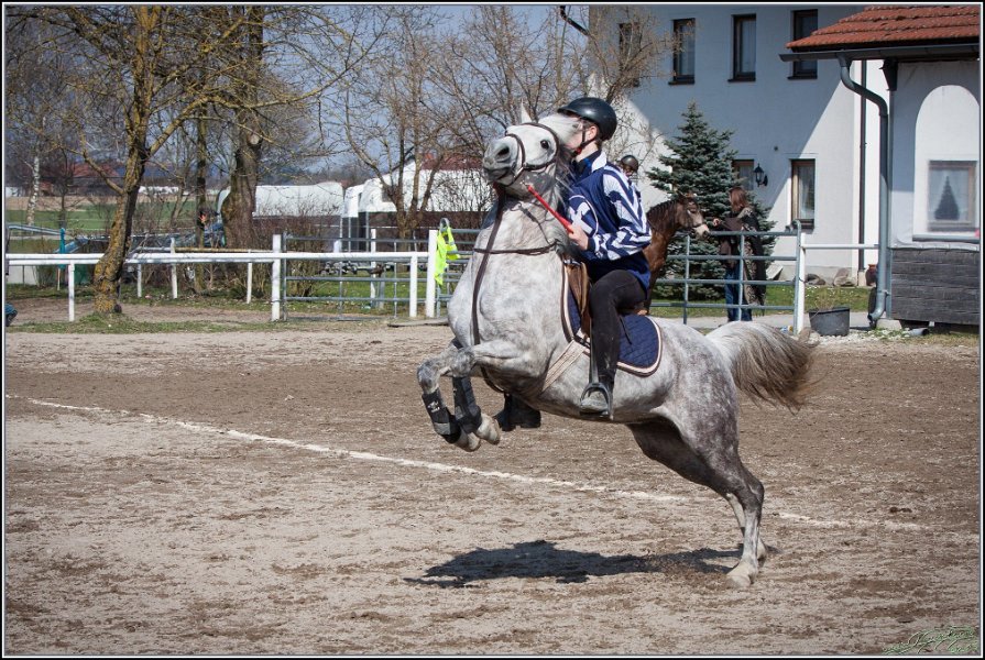 MountedGamesBayrischeMeisterschaft2015 299