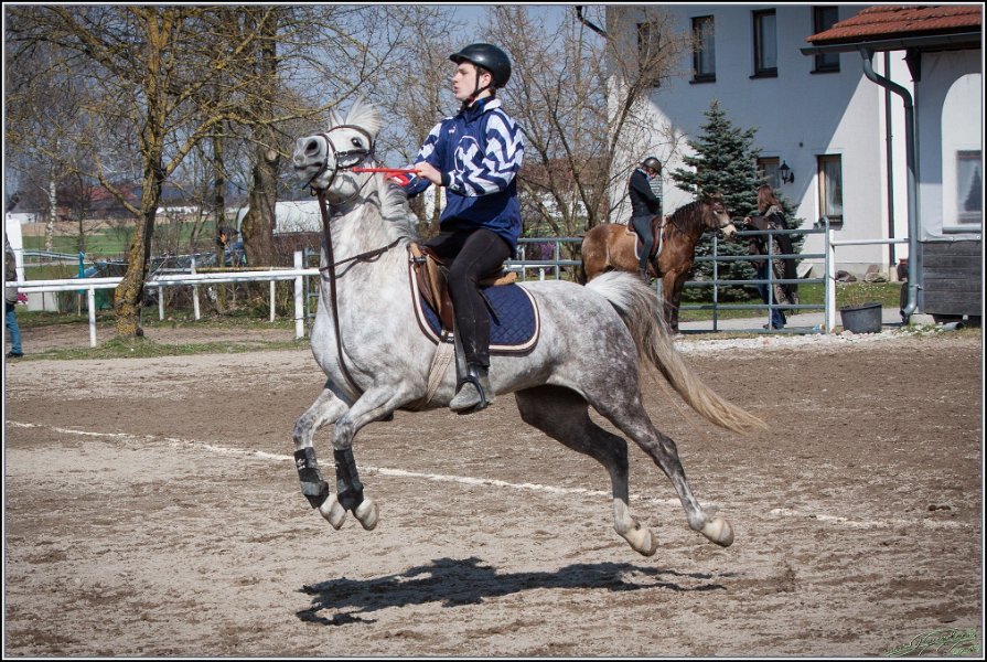 MountedGamesBayrischeMeisterschaft2015 300