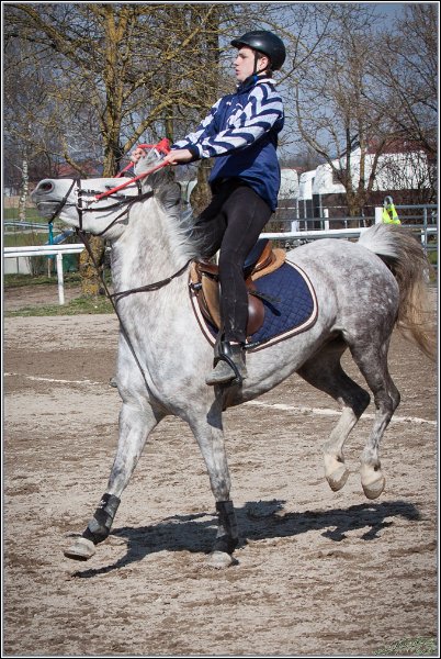 MountedGamesBayrischeMeisterschaft2015 301