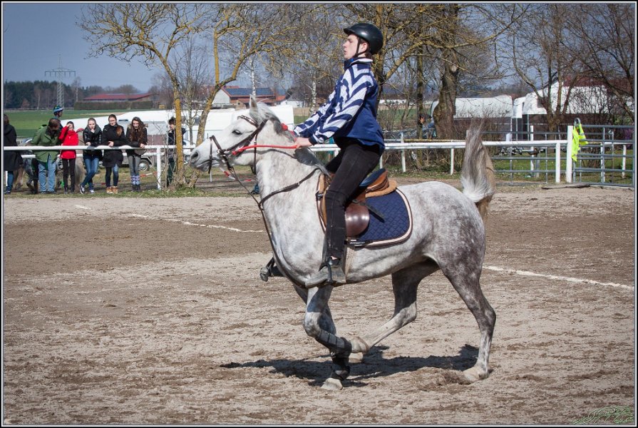 MountedGamesBayrischeMeisterschaft2015 302