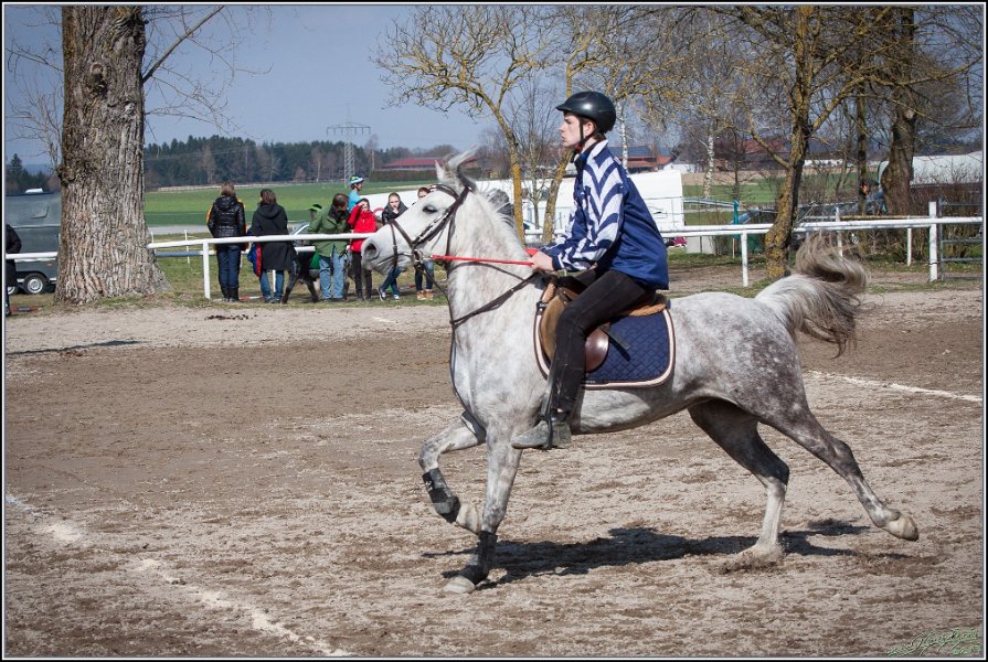 MountedGamesBayrischeMeisterschaft2015 303