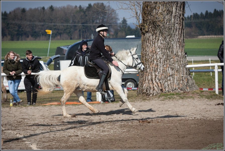 MountedGamesBayrischeMeisterschaft2015 305