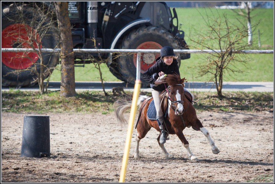 MountedGamesBayrischeMeisterschaft2015 308