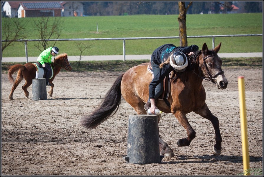 MountedGamesBayrischeMeisterschaft2015 311