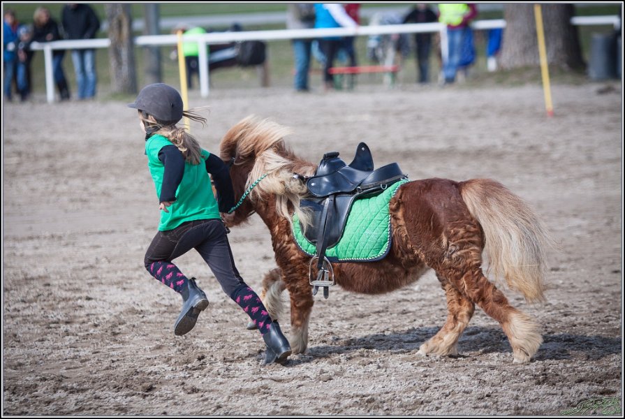 MountedGamesBayrischeMeisterschaft2015 326