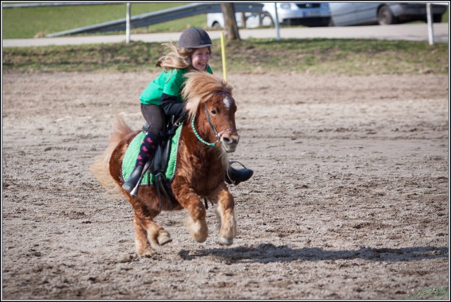 MountedGamesBayrischeMeisterschaft2015 327