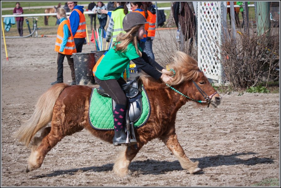 MountedGamesBayrischeMeisterschaft2015 328
