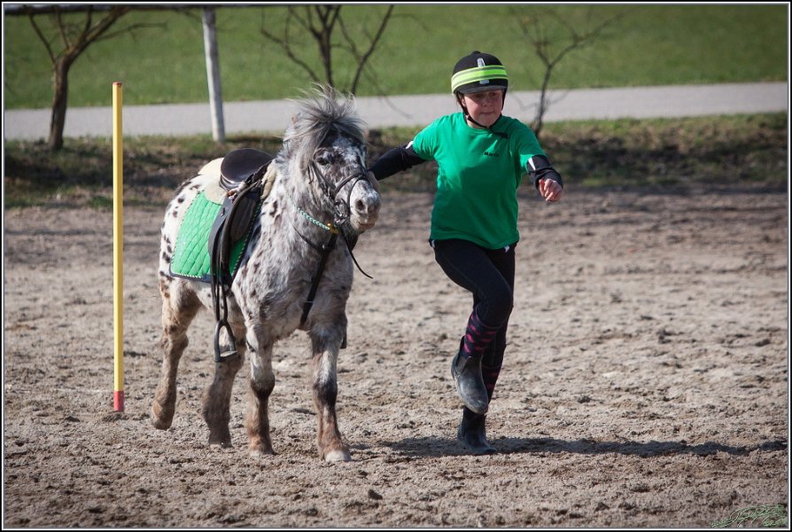 MountedGamesBayrischeMeisterschaft2015 329