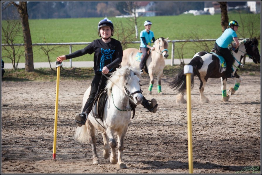 MountedGamesBayrischeMeisterschaft2015 333