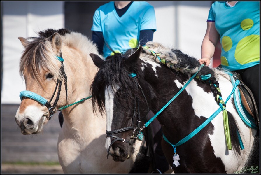 MountedGamesBayrischeMeisterschaft2015 339