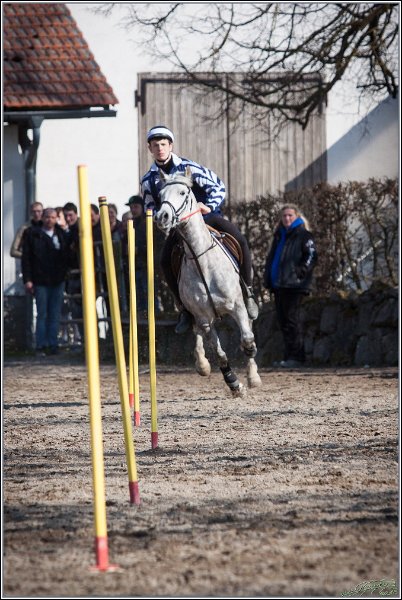MountedGamesBayrischeMeisterschaft2015 345