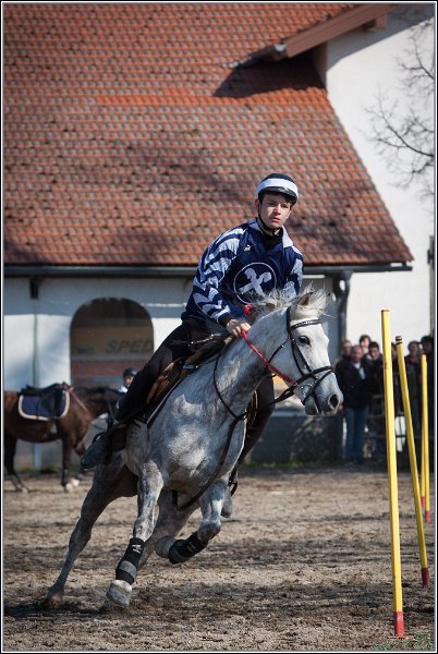 MountedGamesBayrischeMeisterschaft2015 348