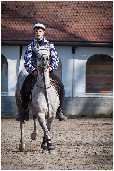 MountedGamesBayrischeMeisterschaft2015 350