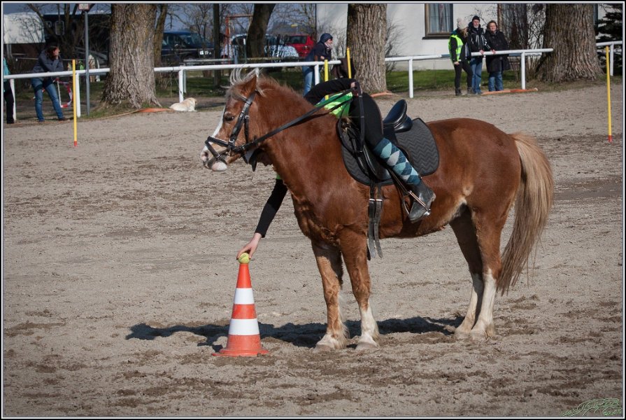 MountedGamesBayrischeMeisterschaft2015 351