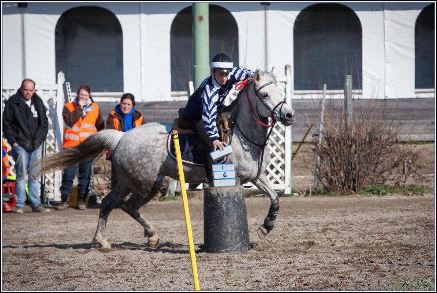 MountedGamesBayrischeMeisterschaft2015 356