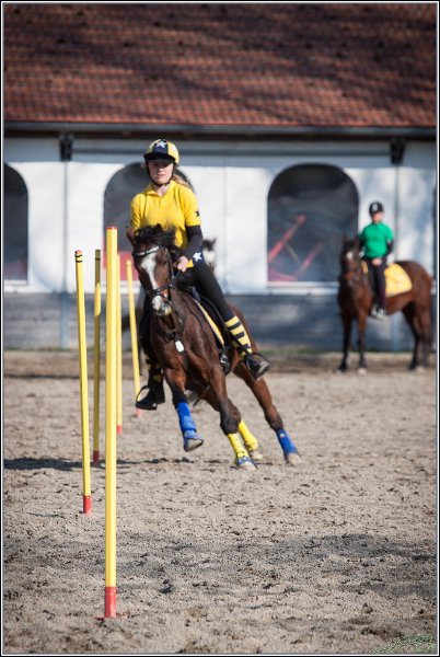 MountedGamesBayrischeMeisterschaft2015 357