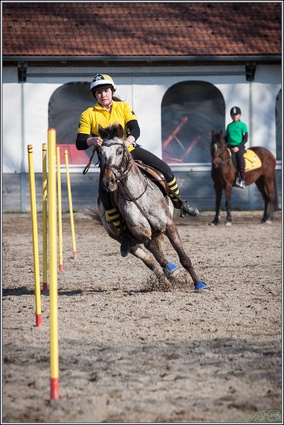 MountedGamesBayrischeMeisterschaft2015 358