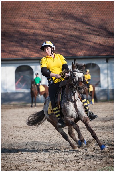 MountedGamesBayrischeMeisterschaft2015 359